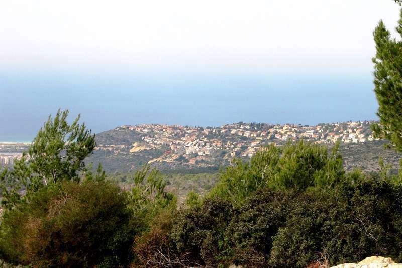 תושבים בדניה חוששים: השכונה השקטה תהפוך לעמוסה וצפופה