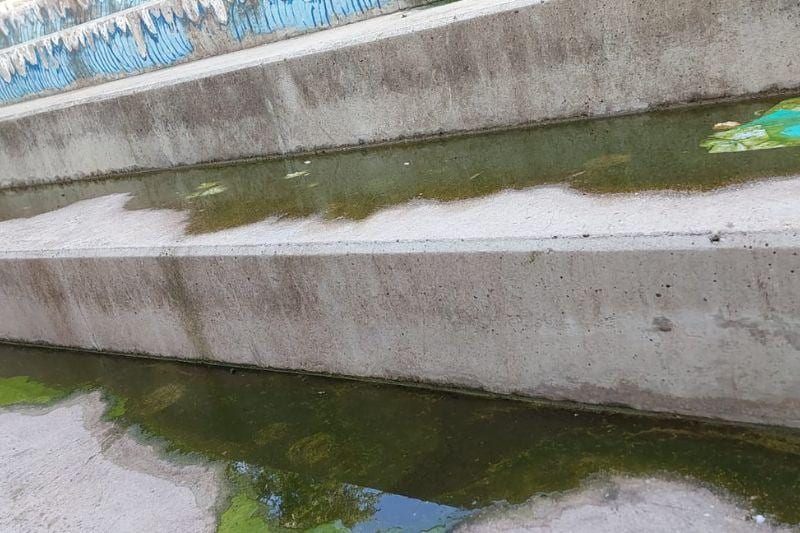 הורים בטירת כרמל זועמים: ביוב זורם לבית הספר מהבניינים הסמוכים