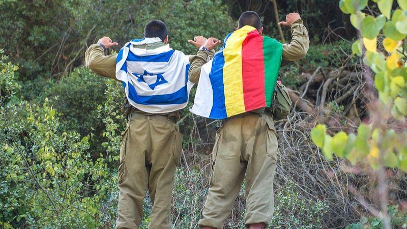 "חוק הלאום גימד את העדה הדרוזית"