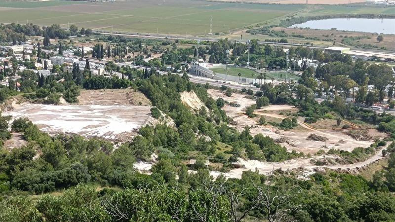 נשר: פעילי סביבה הצליחו לעצור כריתת עצים מסיבית במתחם המחצבה