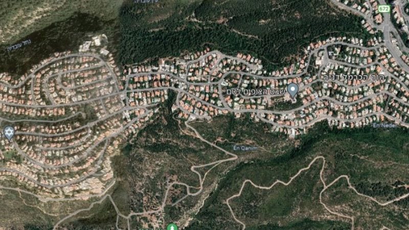 1,799 עצים. זו הכמות העצומה אותה העירייה רוצה לכרות כדי לייצר אזורי חיץ בדניה