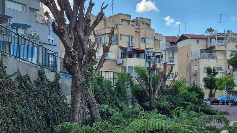 "הבן שלי שאל 'מי הרג את הטבע', מה אני אמור לענות לו?"