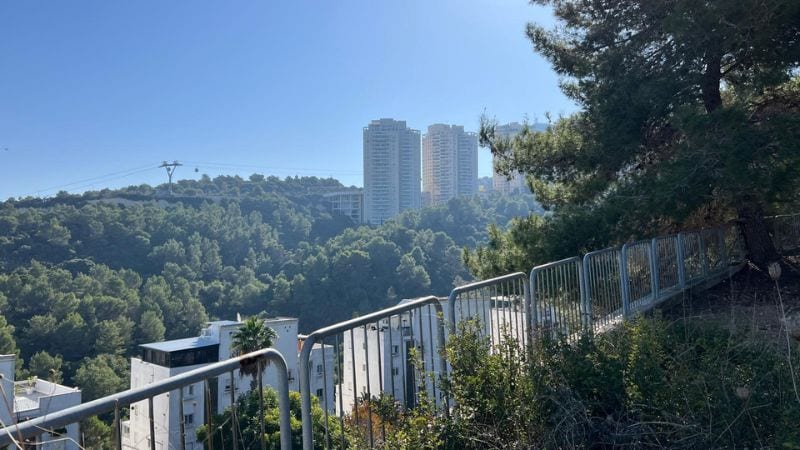 "להרוס את יער רמת אלון זו תהיה בכייה לדורות שאי אפשר יהיה לתקן אותה"