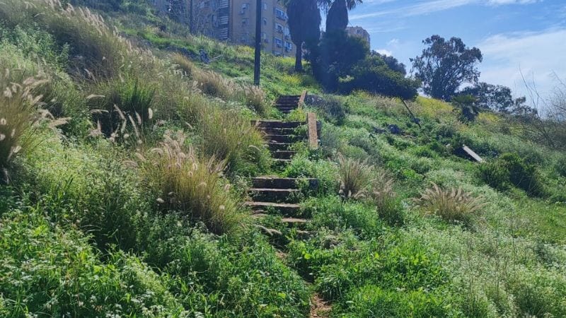 "הניתוק מביע התייחסות של העיר אל אחת משכונותיה הוותיקות ביותר"