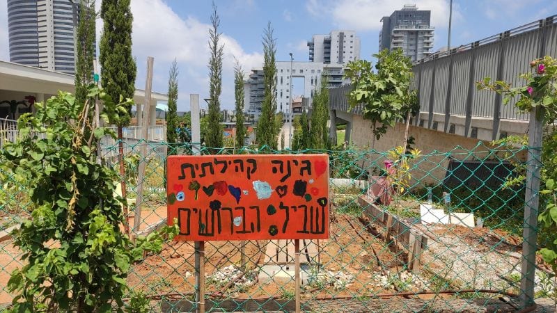 העירייה מקדמת תכנית עירונית להקמת גינות קהילתיות בכל שכונות העיר