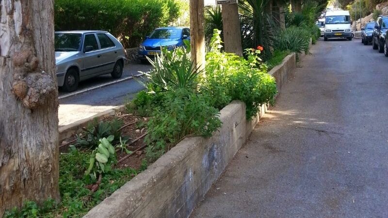 אחרי יותר מעשור של המתנה: רחוב בר גיורא בדרך לשיפוץ מקיף