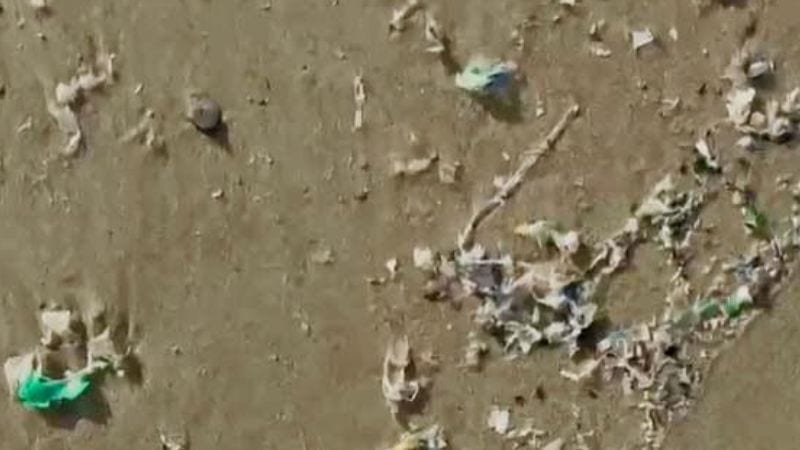 תושבי מפרץ חיפה בעצומה: "הים התיכון אינו מזבלה. החופים אינם הפקר"